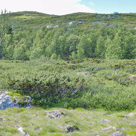 3 Bedroom Amazing In *